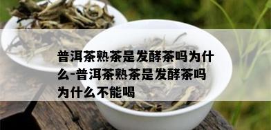 普洱茶熟茶是发酵茶吗为什么-普洱茶熟茶是发酵茶吗为什么不能喝