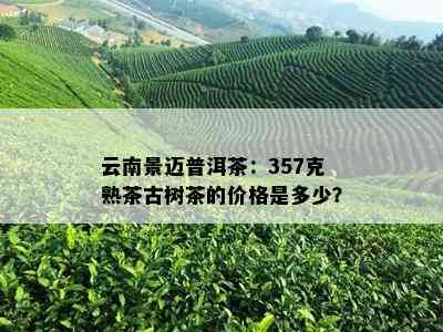 云南景迈普洱茶：357克熟茶古树茶的价格是多少？