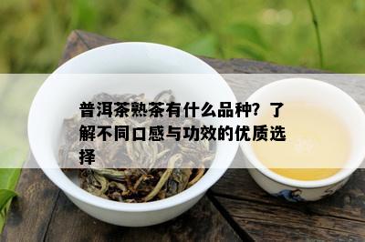 普洱茶熟茶有什么品种？了解不同口感与功效的优质选择