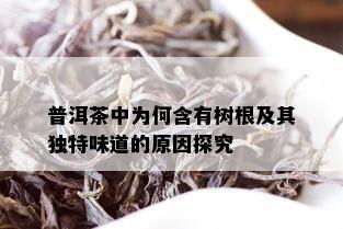 普洱茶中为何含有树根及其独特味道的原因探究