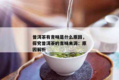 普洱茶有青味是什么原因，探究普洱茶的青味来源：原因解析