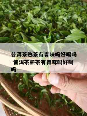 普洱茶熟茶有青味吗好喝吗-普洱茶熟茶有青味吗好喝吗