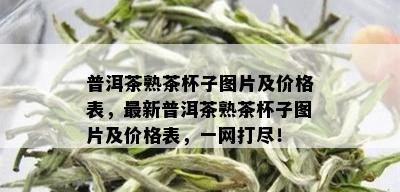 普洱茶熟茶杯子图片及价格表，最新普洱茶熟茶杯子图片及价格表，一网打尽！