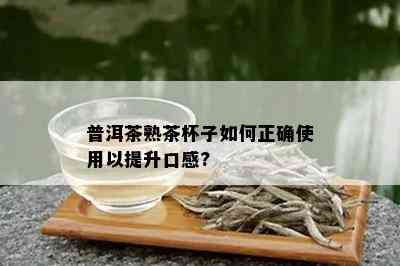 普洱茶熟茶杯子如何正确使用以提升口感?