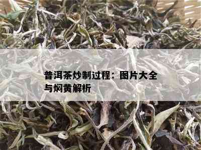 普洱茶炒制过程：图片大全与焖黄解析