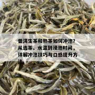 普洱生茶和熟茶如何冲泡？从选茶、水温到浸泡时间，详解冲泡技巧与口感提升方法。