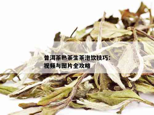 普洱茶熟茶生茶泡饮技巧：视频与图片全攻略