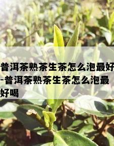 普洱茶熟茶生茶怎么泡更好-普洱茶熟茶生茶怎么泡更好喝