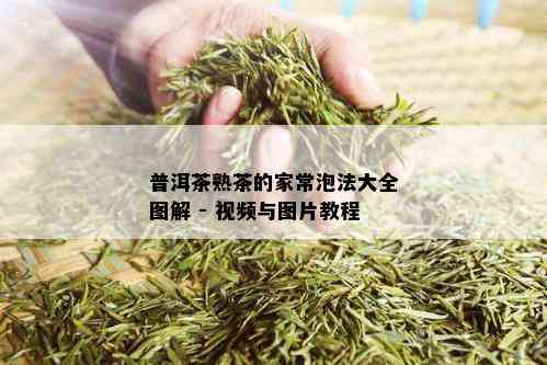 普洱茶熟茶的家常泡法大全图解 - 视频与图片教程