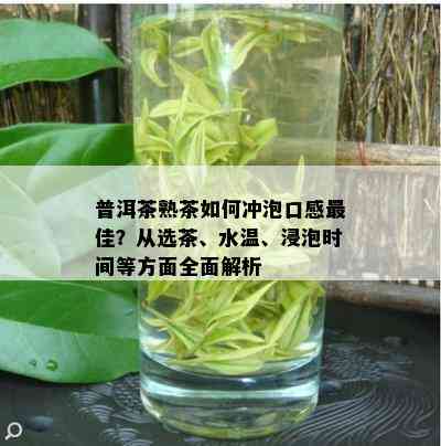 普洱茶熟茶如何冲泡口感更佳？从选茶、水温、浸泡时间等方面全面解析