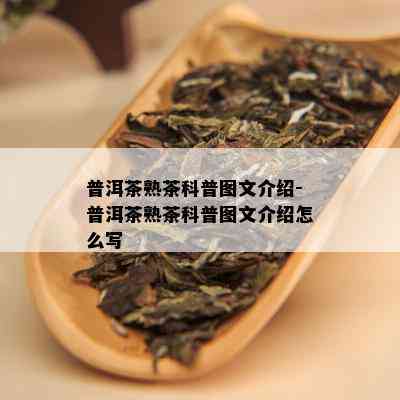 普洱茶熟茶科普图文介绍-普洱茶熟茶科普图文介绍怎么写