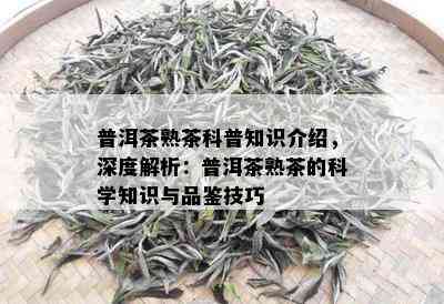 普洱茶熟茶科普知识介绍，深度解析：普洱茶熟茶的科学知识与品鉴技巧