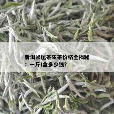 普洱紧压茶生茶价格全揭秘：一斤/盒多少钱？