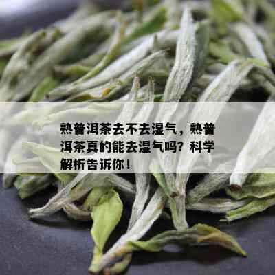 熟普洱茶去不去湿气，熟普洱茶真的能去湿气吗？科学解析告诉你！