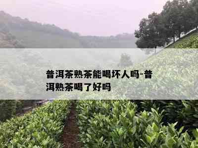 普洱茶熟茶能喝坏人吗-普洱熟茶喝了好吗