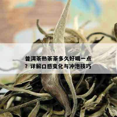 普洱茶熟茶茶多久好喝一点？详解口感变化与冲泡技巧