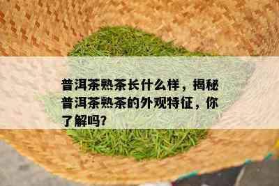 普洱茶熟茶长什么样，揭秘普洱茶熟茶的外观特征，你了解吗？