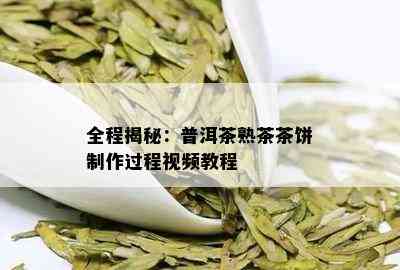 全程揭秘：普洱茶熟茶茶饼制作过程视频教程