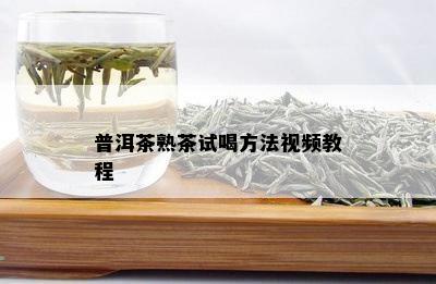 普洱茶熟茶试喝方法视频教程