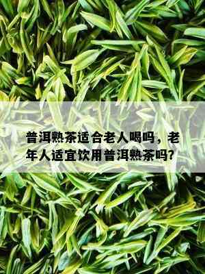 普洱熟茶适合老人喝吗，老年人适宜饮用普洱熟茶吗？