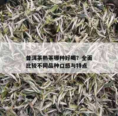 普洱茶熟茶哪种好喝？全面比较不同品种口感与特点