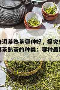 普洱茶熟茶哪种好，探究普洱茶熟茶的种类：哪种更好？