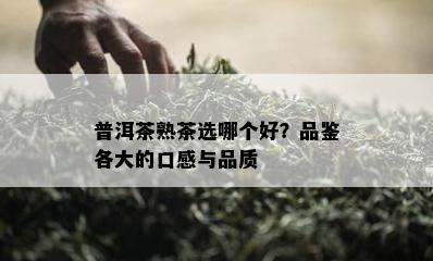 普洱茶熟茶选哪个好？品鉴各大的口感与品质