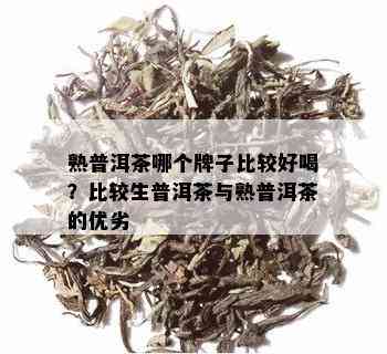 熟普洱茶哪个牌子比较好喝？比较生普洱茶与熟普洱茶的优劣