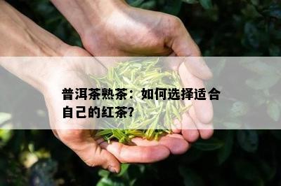 普洱茶熟茶：如何选择适合自己的红茶？