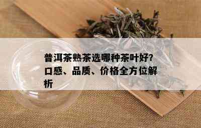 普洱茶熟茶选哪种茶叶好？口感、品质、价格全方位解析