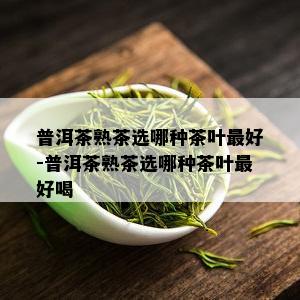 普洱茶熟茶选哪种茶叶更好-普洱茶熟茶选哪种茶叶更好喝