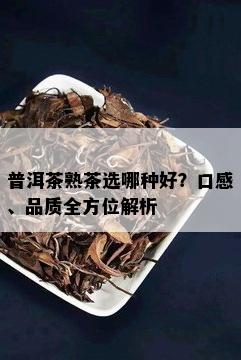 普洱茶熟茶选哪种好？口感、品质全方位解析