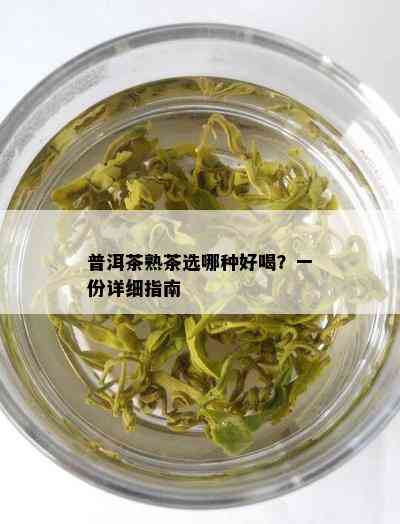 普洱茶熟茶选哪种好喝？一份详细指南