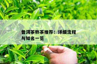 普洱茶熟茶推荐：详细流程与知名一览