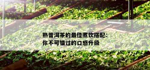 熟普洱茶的更佳煮饮搭配：你不可错过的口感升级