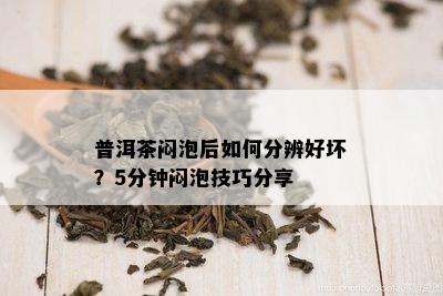 普洱茶闷泡后如何分辨好坏？5分钟闷泡技巧分享