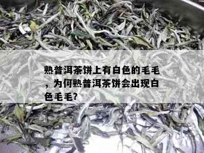 熟普洱茶饼上有白色的毛毛，为何熟普洱茶饼会出现白色毛毛？