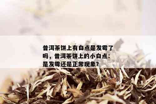 普洱茶饼上有白点是发霉了吗，普洱茶饼上的小白点：是发霉还是正常现象？