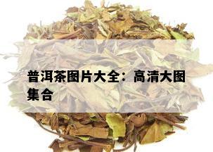 普洱茶图片大全：高清大图集合