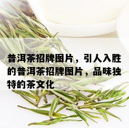 普洱茶招牌图片，引人入胜的普洱茶招牌图片，品味独特的茶文化