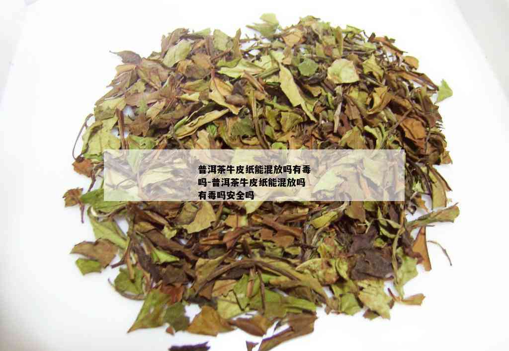 普洱茶牛皮纸能混放吗有吗-普洱茶牛皮纸能混放吗有吗安全吗