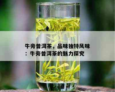 牛旁普洱茶，品味独特风味：牛旁普洱茶的魅力探究