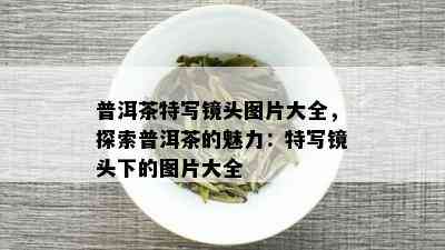 普洱茶特写镜头图片大全，探索普洱茶的魅力：特写镜头下的图片大全