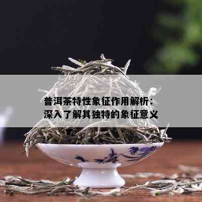 普洱茶特性象征作用解析：深入了解其独特的象征意义