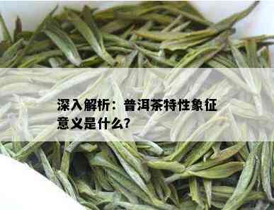 深入解析：普洱茶特性象征意义是什么？