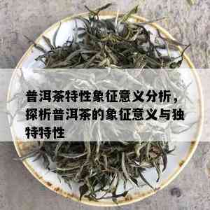 普洱茶特性象征意义分析，探析普洱茶的象征意义与独特特性