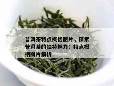 普洱茶特点概括图片，探索普洱茶的独特魅力：特点概括图片解析