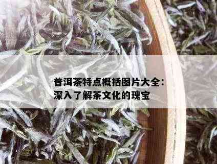 普洱茶特点概括图片大全：深入了解茶文化的瑰宝