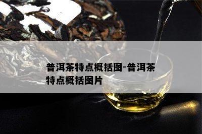 普洱茶特点概括图-普洱茶特点概括图片