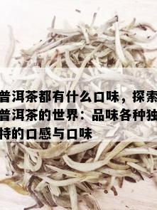 普洱茶都有什么口味，探索普洱茶的世界：品味各种独特的口感与口味